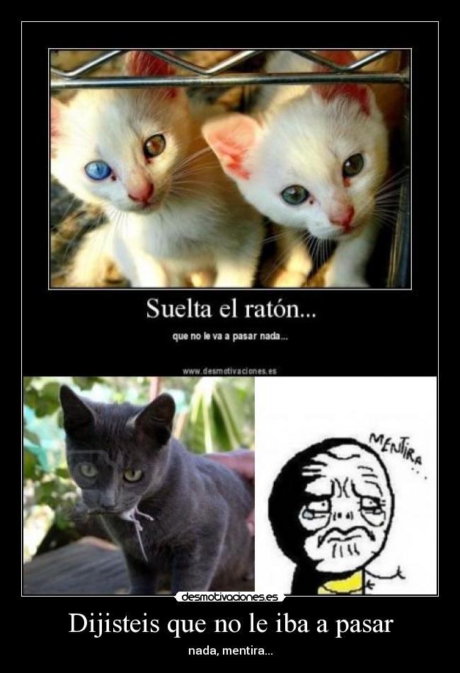 Dijisteis que no le iba a pasar -