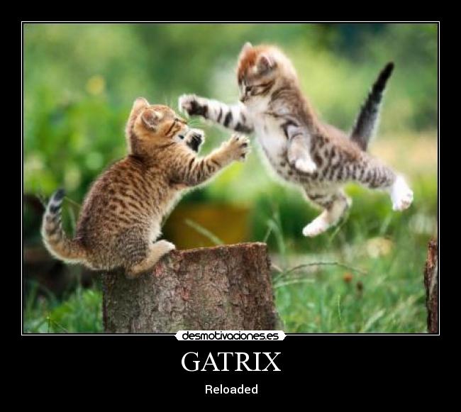 GATRIX - Reloaded