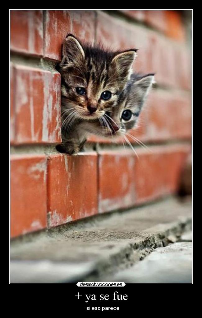 + ya se fue - − si eso parece
