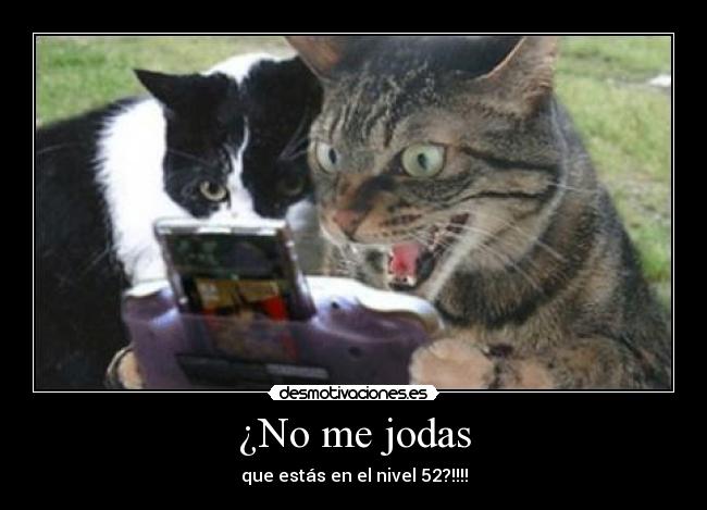 ¿No me jodas -