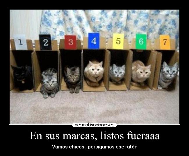 En sus marcas, listos fueraaa -