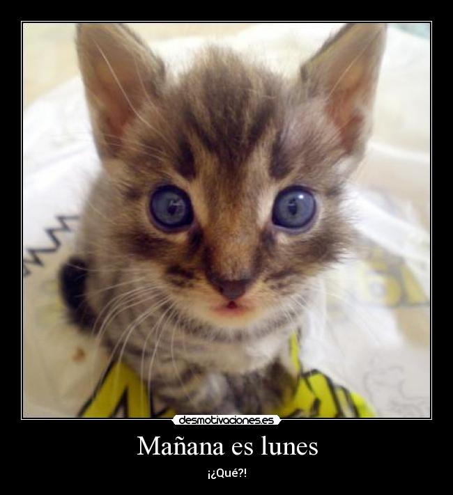 Mañana es lunes - 