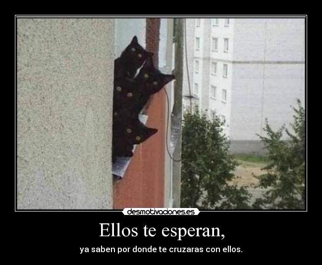 Ellos te esperan, -