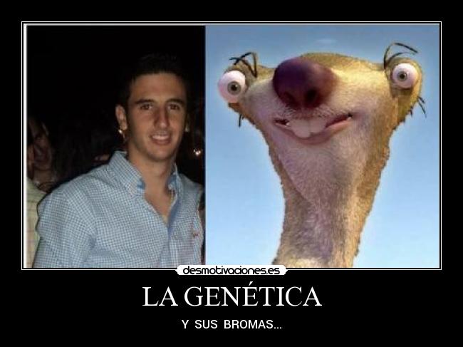 LA GENÉTICA -