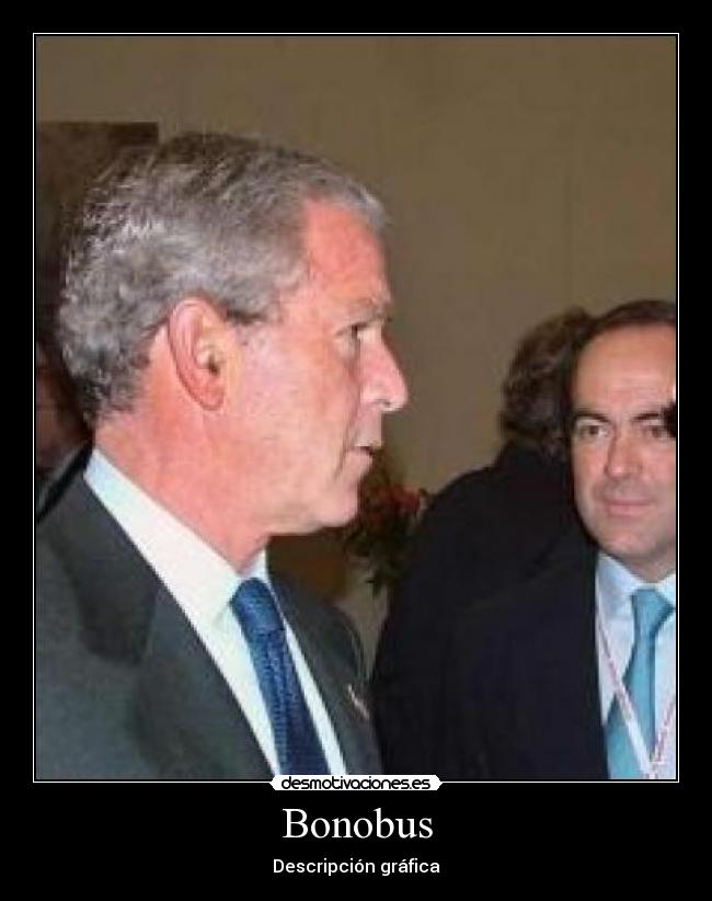 Bonobus - Descripción gráfica