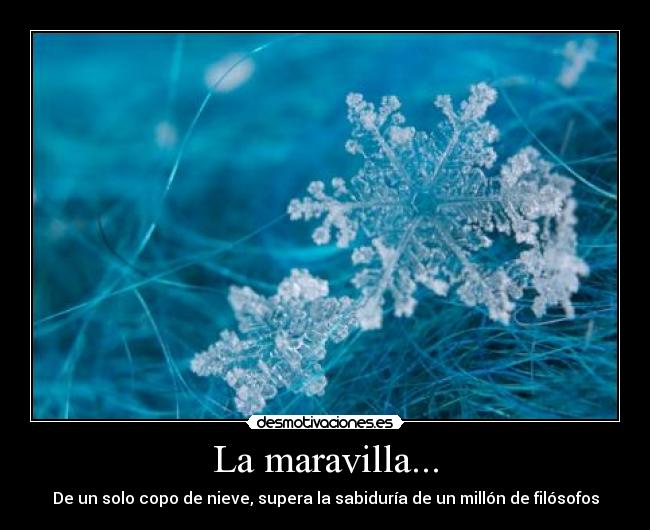 La maravilla... - 