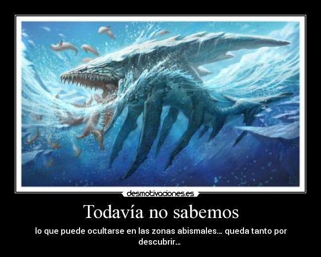 Todavía no sabemos - lo que puede ocultarse en las zonas abismales… queda tanto por descubrir…