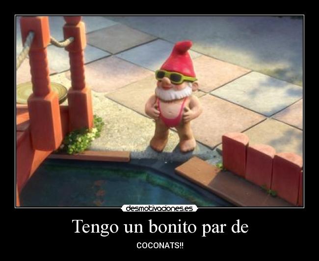 Tengo un bonito par de - 