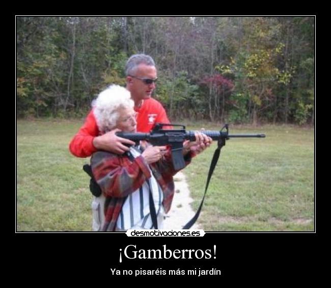 ¡Gamberros! -
