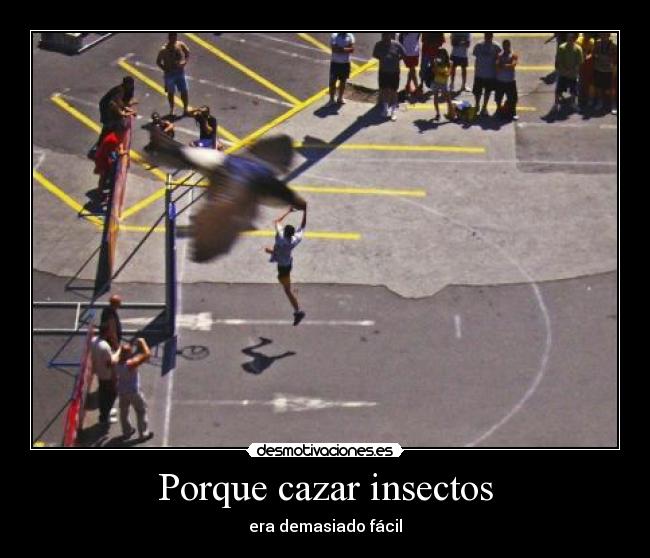 Porque cazar insectos - era demasiado fácil