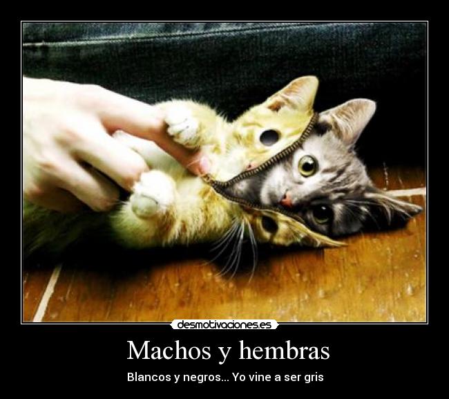  Machos y hembras - 