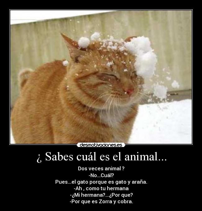 ¿ Sabes cuál es el animal... -