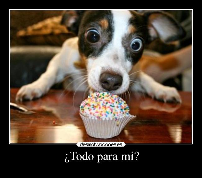 ¿Todo para mi? - 