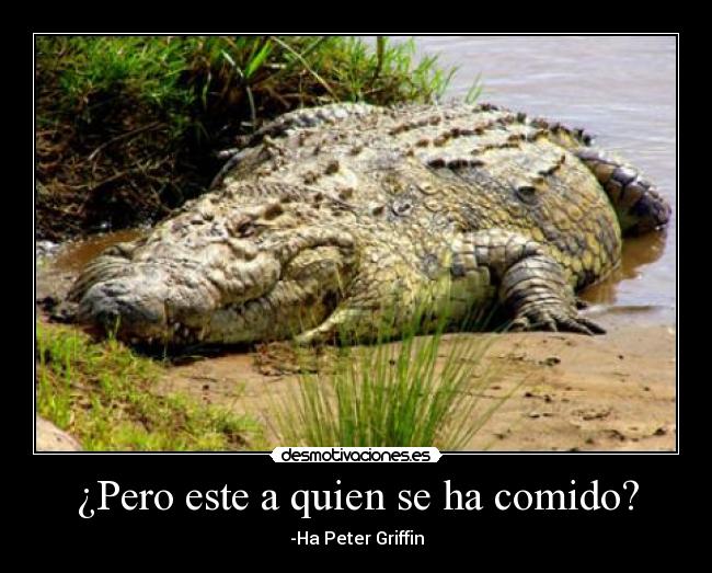 carteles rasty54 desmotivaciones