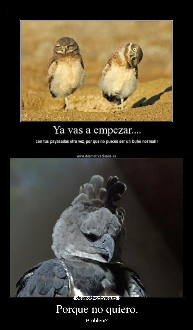 Porque no quiero. - Problem?