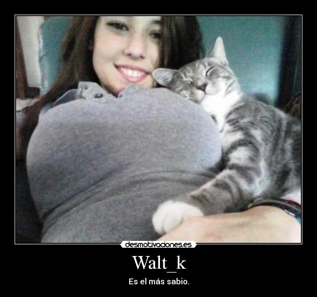 Walt_k -