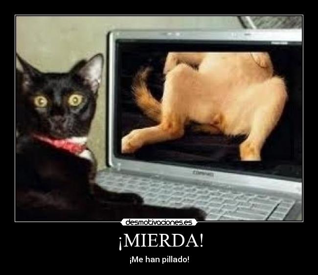 ¡MIERDA! - ¡Me han pillado!