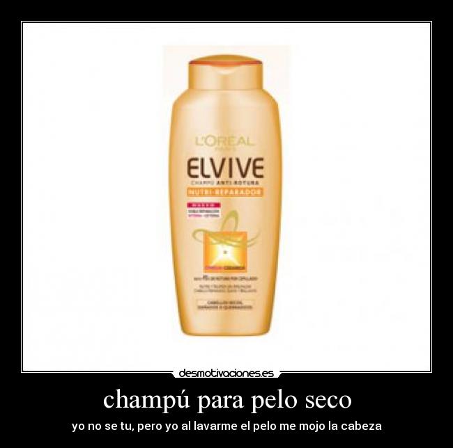 champú para pelo seco - 