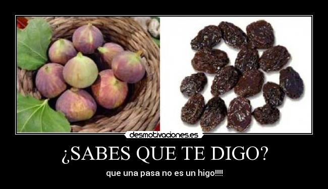 carteles higoss desmotivaciones