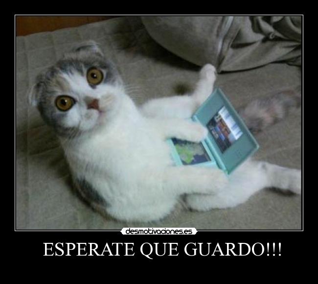ESPERATE QUE GUARDO!!! -