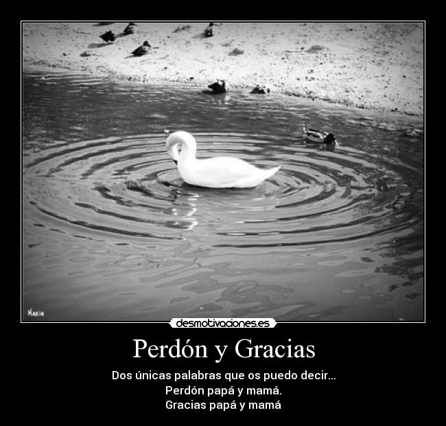 Perdón y Gracias - Dos únicas palabras que os puedo decir...
Perdón papá y mamá.
Gracias papá y mamá
