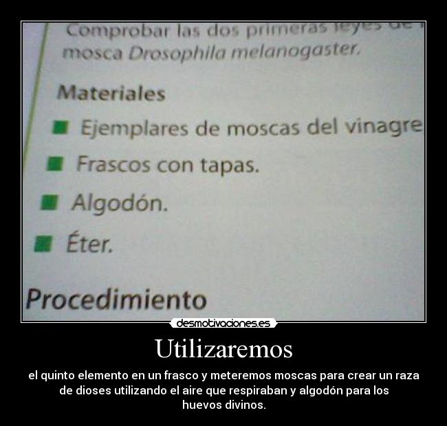 Utilizaremos - el quinto elemento en un frasco y meteremos moscas para crear un raza
de dioses utilizando el aire que respiraban y algodón para los
huevos divinos.
