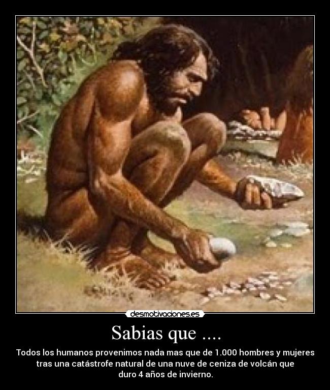 Sabias que .... -