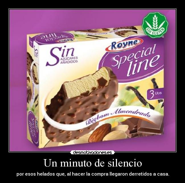 Un minuto de silencio - por esos helados que, al hacer la compra llegaron derretidos a casa.