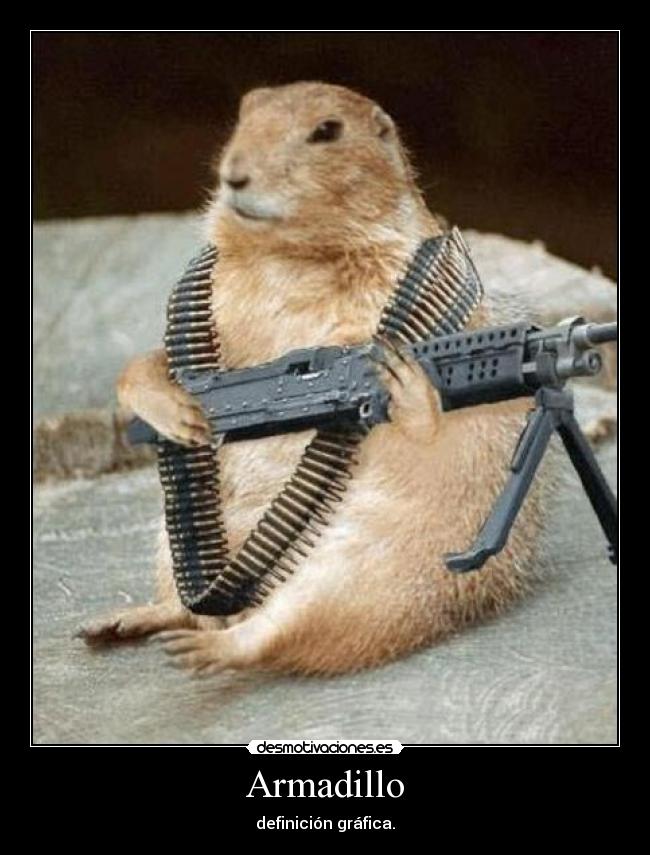 Armadillo - definición gráfica.