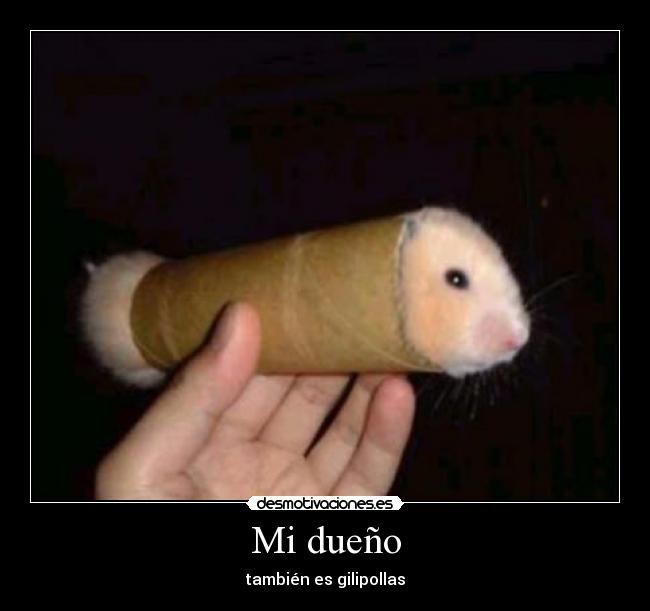 Mi dueño - también es gilipollas