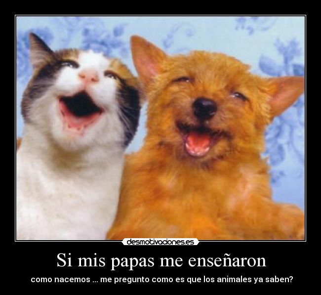 Si mis papas me enseñaron - como nacemos ... me pregunto como es que los animales ya saben?