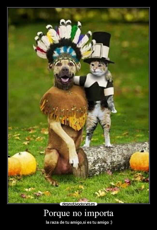 carteles porque importa desmotivaciones