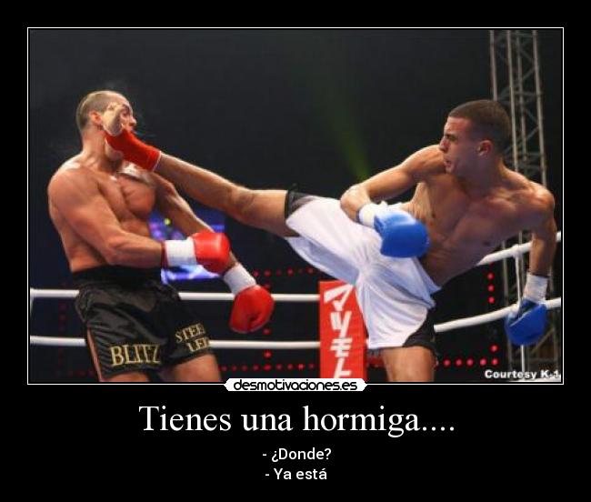 Tienes una hormiga.... - - ¿Donde?
- Ya está