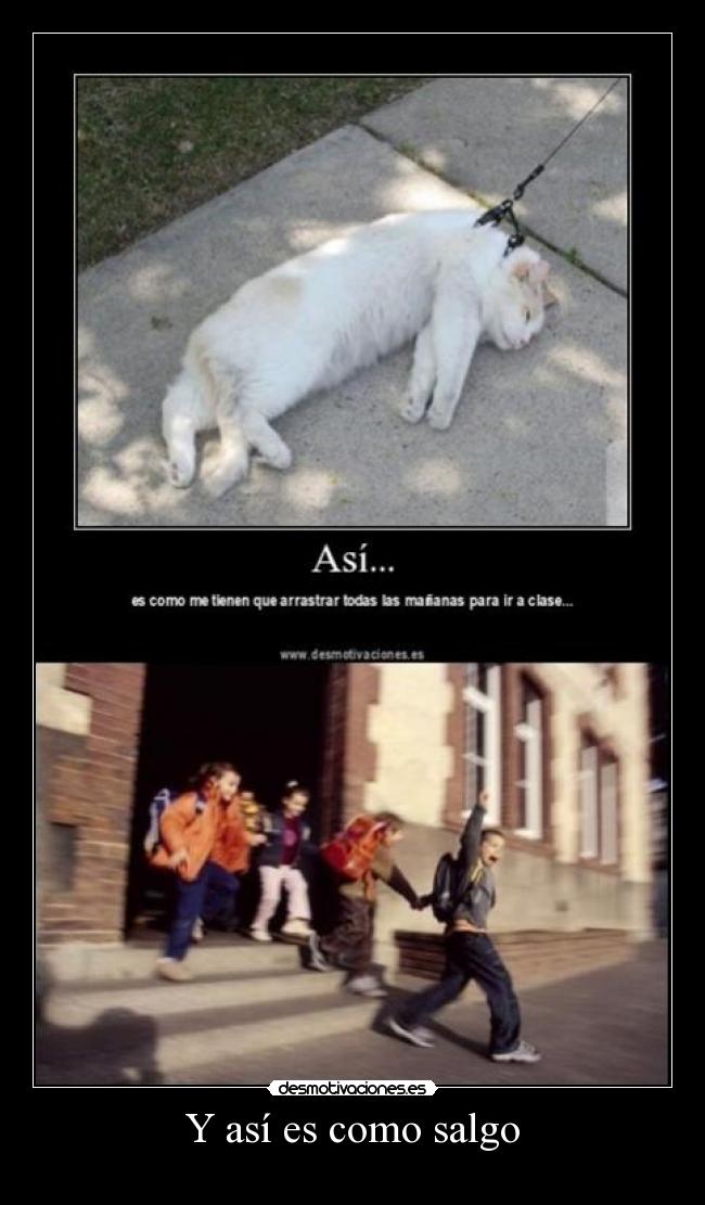 Y así es como salgo -