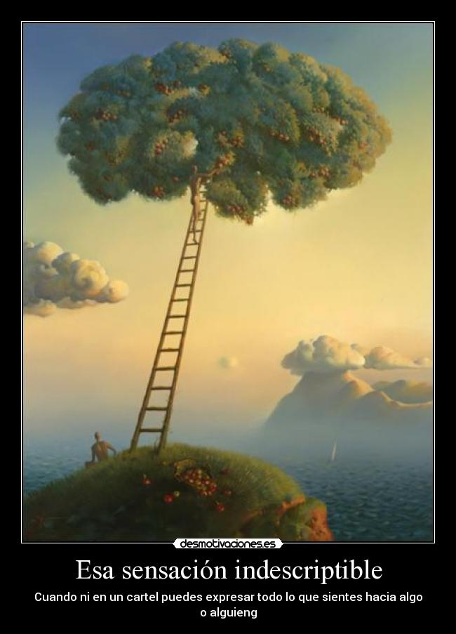 Esa sensación indescriptible - Cuando ni en un cartel puedes expresar todo lo que sientes hacia algo o alguieng