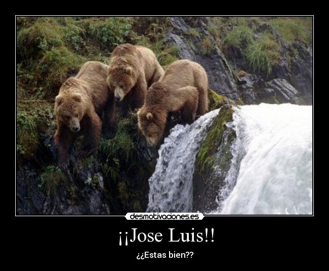 ¡¡Jose Luis!! - 