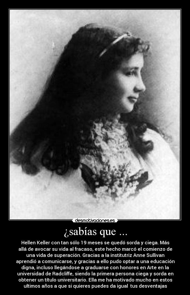 carteles zorrita desmotivaciones