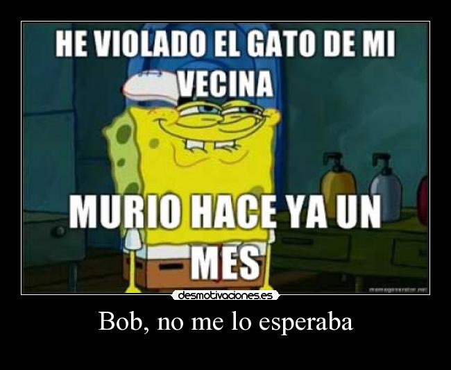 Bob, no me lo esperaba -
