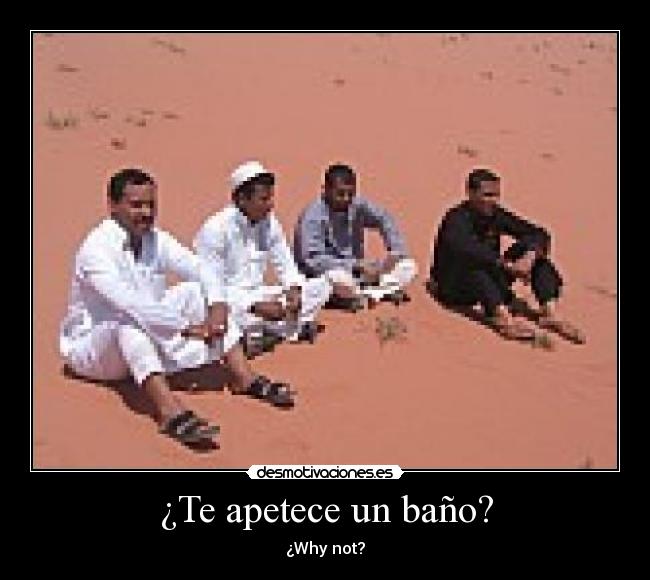 ¿Te apetece un baño? - ¿Why not?