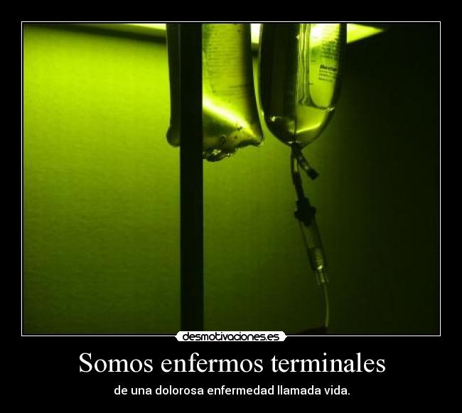 Somos enfermos terminales - de una dolorosa enfermedad llamada vida.
