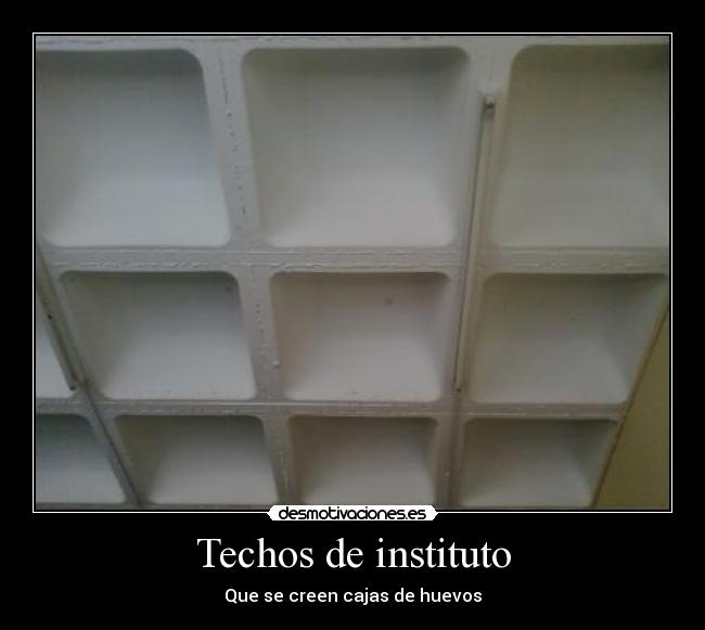 Techos de instituto -