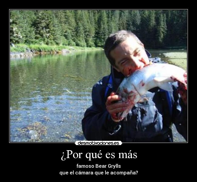 ¿Por qué es más - famoso Bear Grylls
que el cámara que le acompaña?