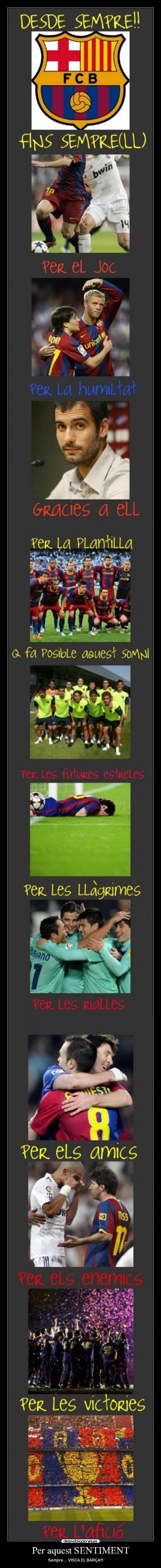 Per aquest SENTIMENT - Sempre...  VISCA EL BARÇA!!!          