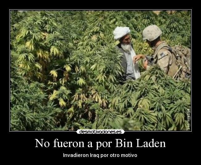 carteles desmotivaciones