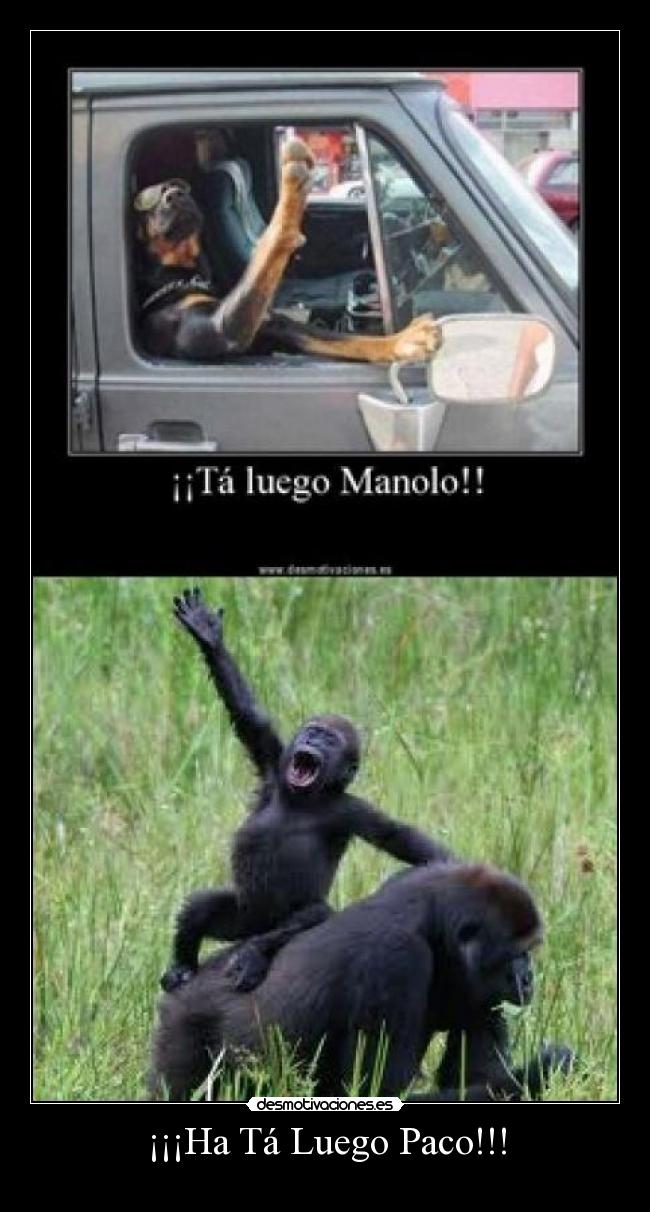 ¡¡¡Ha Tá Luego Paco!!! -