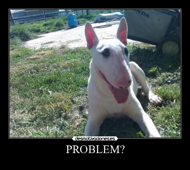 PROBLEM? -