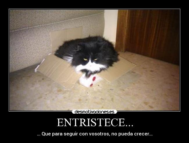 carteles pipo desmotivaciones