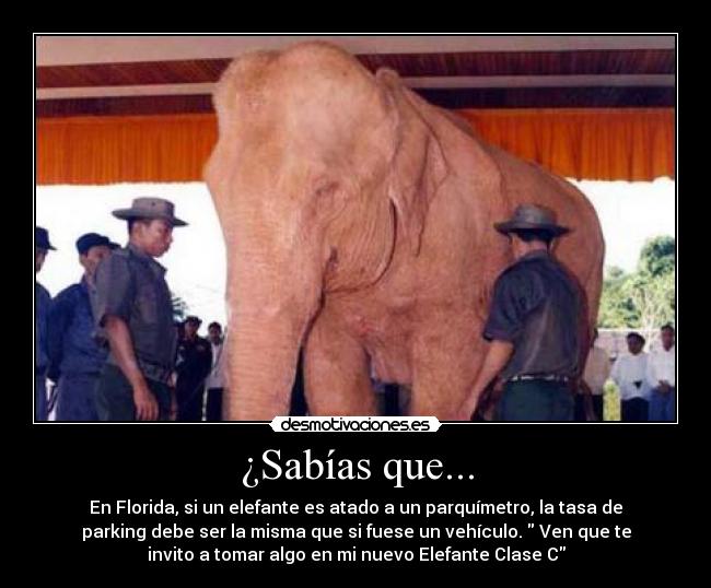 carteles elefante parking sabias que desmotivaciones