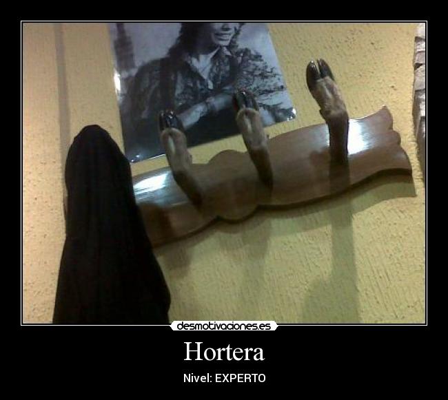Hortera - 