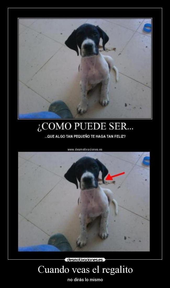 Cuando veas el regalito - 